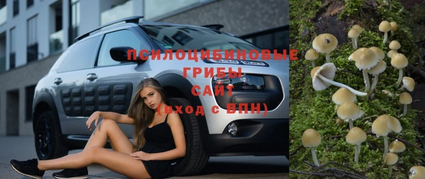 спиды Нея