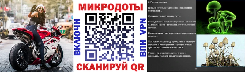 купить закладку Абакан Галлюциногенные грибы мухоморы
